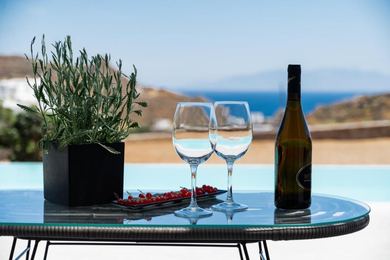 Dioni Villa Mykonos Παράγκα Εξωτερικό φωτογραφία