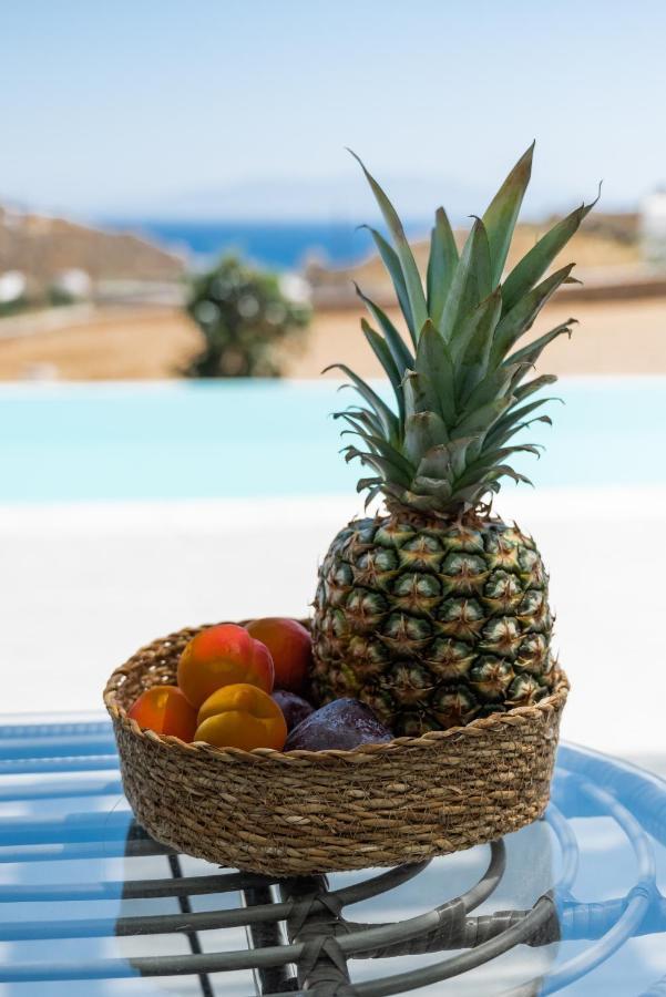 Dioni Villa Mykonos Παράγκα Εξωτερικό φωτογραφία
